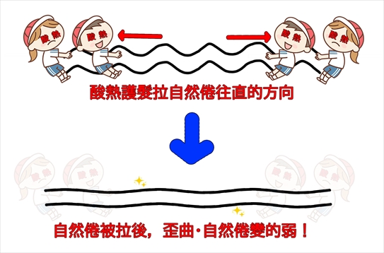 酸熱護髮改善頭髮歪曲的原理照片(頭髮被酸熱護髮拔河變得直)
